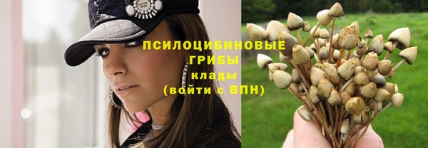 спиды Балахна