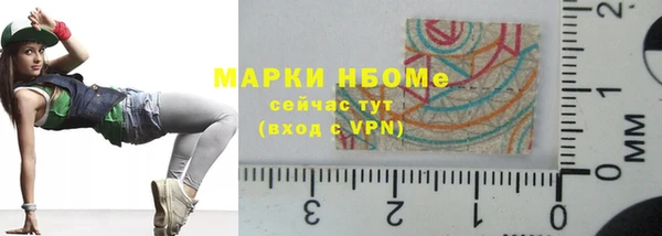 твердый Арсеньев
