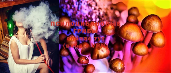 MDMA Premium VHQ Аркадак