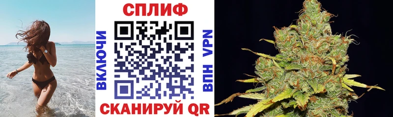 даркнет сайт  Верхняя Пышма  ссылка на мегу онион  Каннабис планчик 